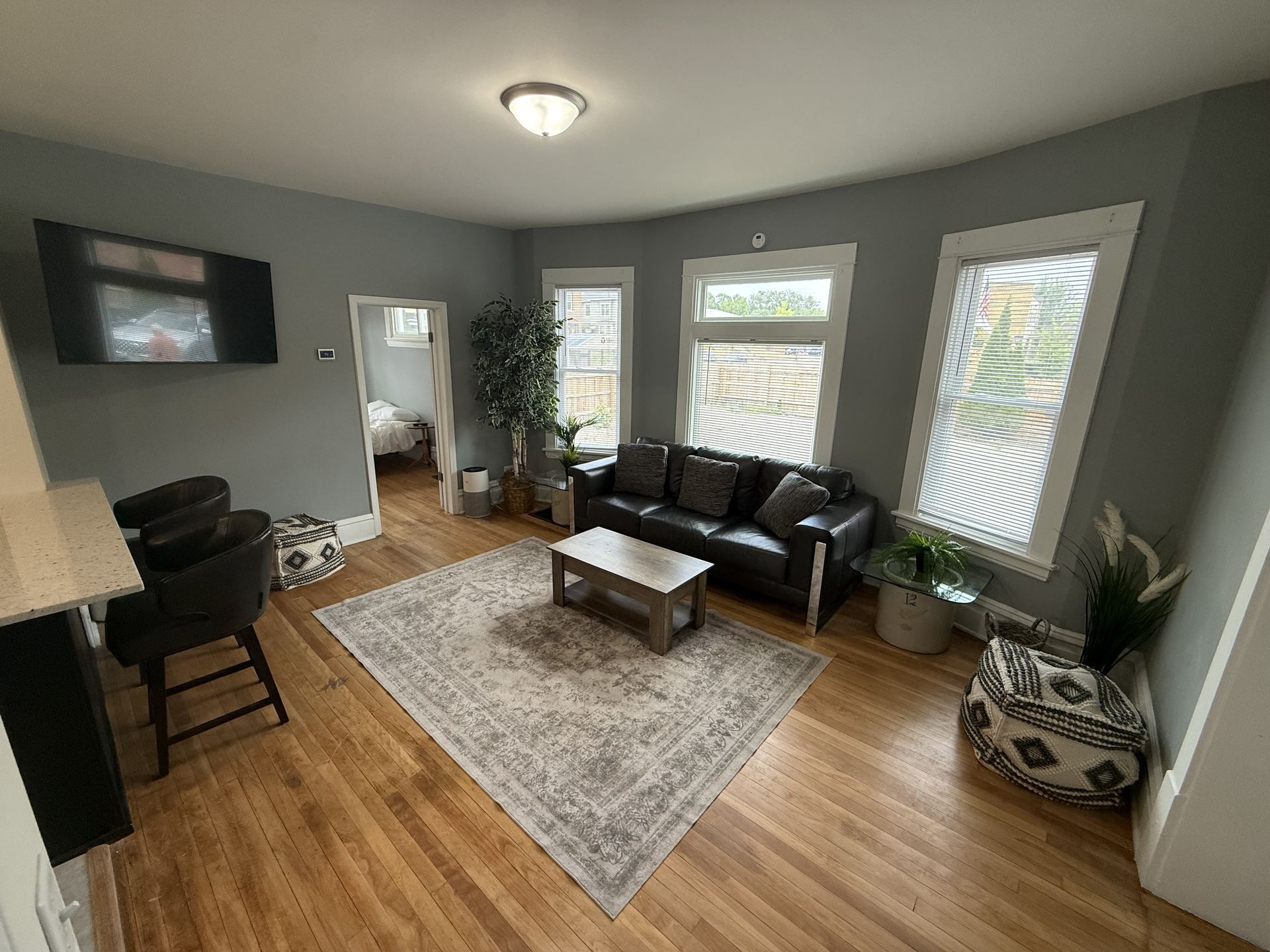 Living room with leather sofa