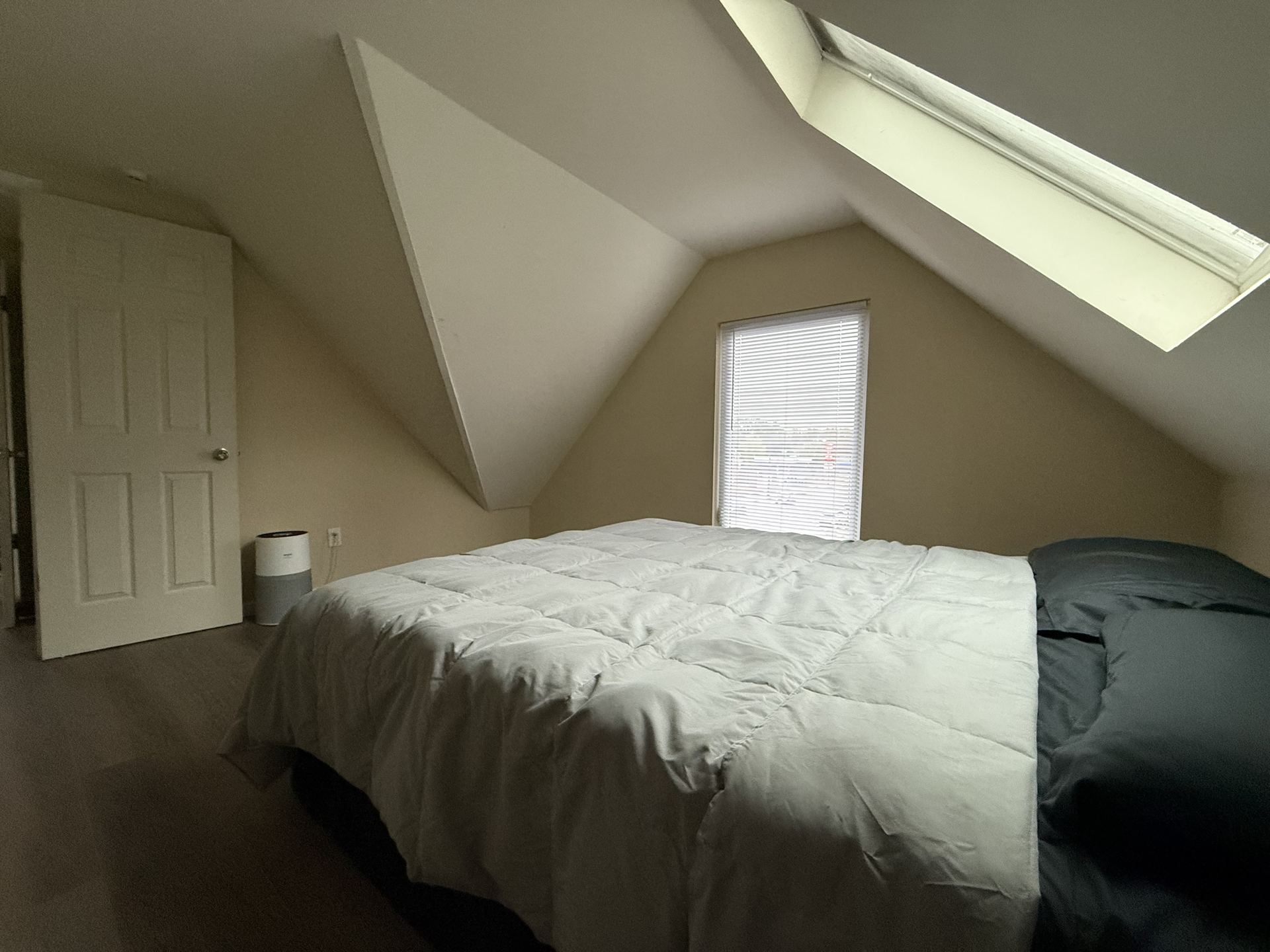 Bedroom with skylight and closet