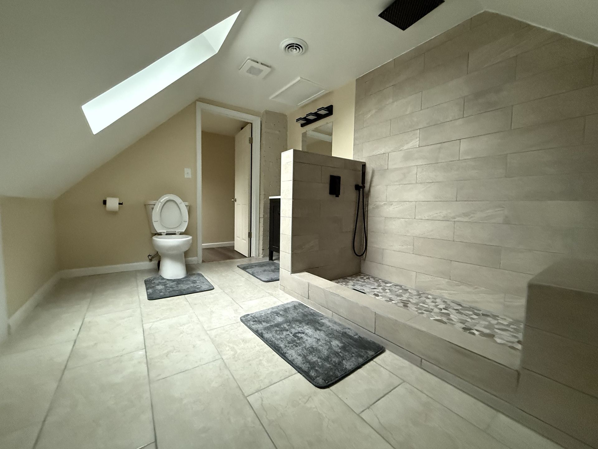 Bathroom with skylight and walk-in shower